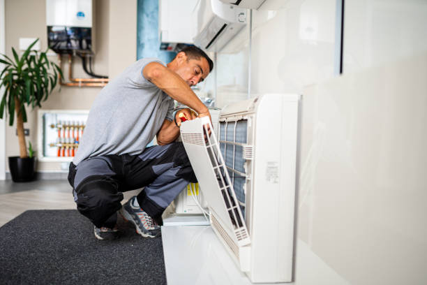 Best Air Duct Mold Removal  in Exeter, PA